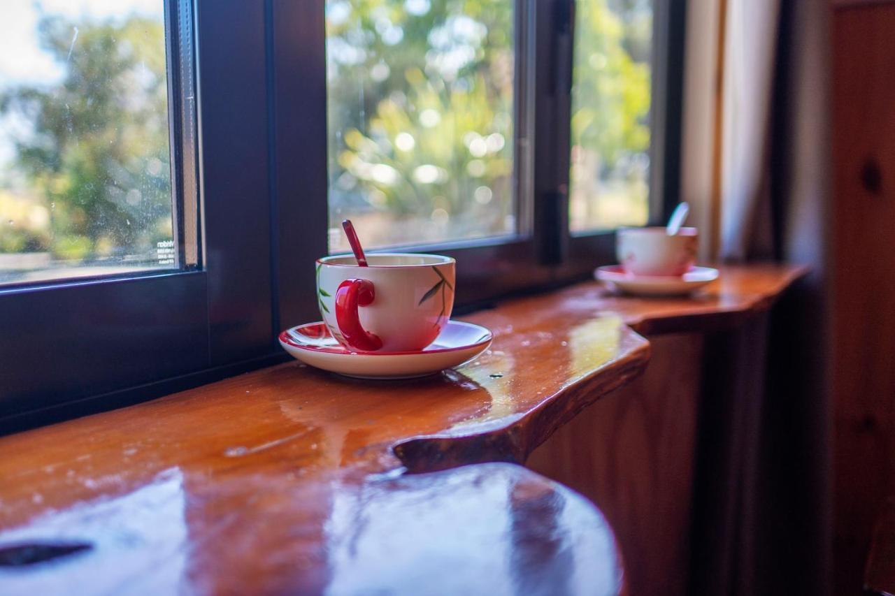 Bed and Breakfast Waikoura Springs Kaikoura Zewnętrze zdjęcie